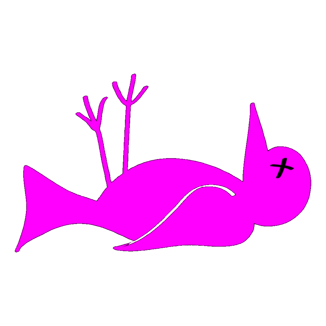 Caseyland Logo